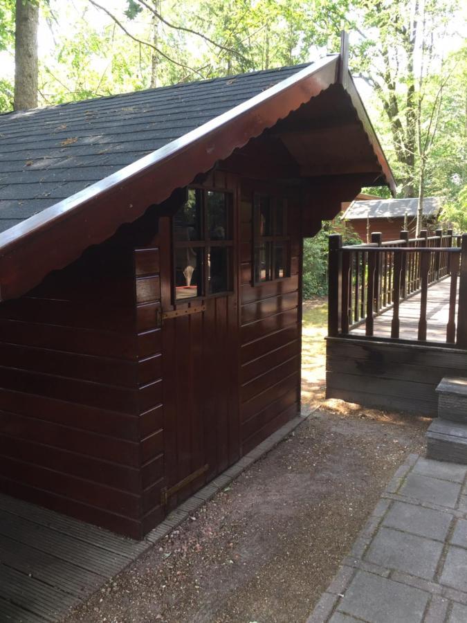 Mijn Chalet Erm Exterior photo